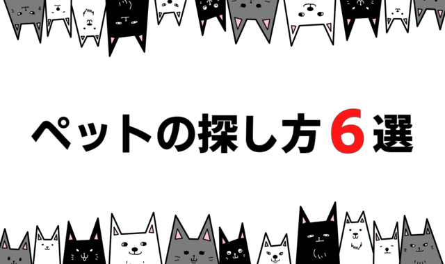 上下に複数の犬と猫ペットの探し方6選