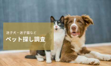 【大切な家族】ペット探し調査のご案内｜迷子犬・迷子猫の捜索