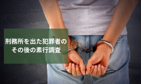 犯罪者のその後の調査