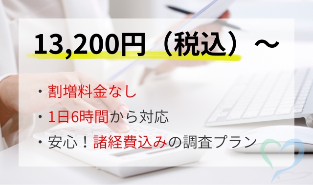 当日浮気調査の基本料金