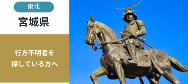 宮城県の行方不明者探し