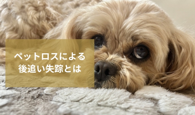 ペットロス