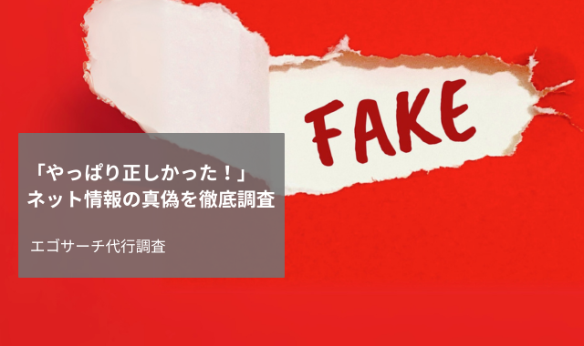 ネット情報確認調査