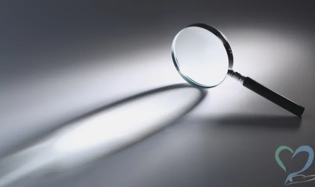 団体の活動実態も調査できる