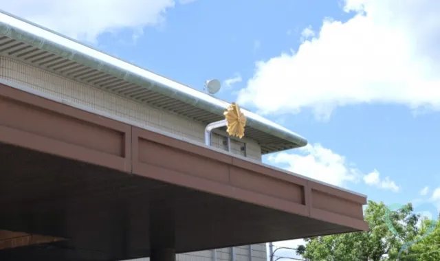 警察(110番・最寄りの交番)